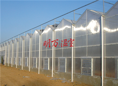農(nóng)業(yè)