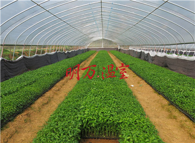 農(nóng)業(yè)