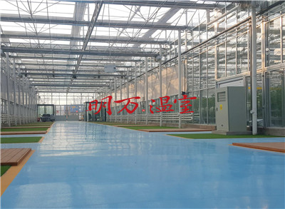 農(nóng)業(yè)