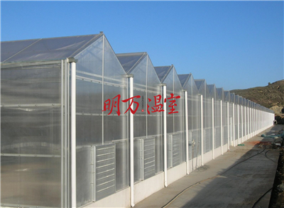 農(nóng)業(yè)