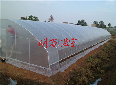 農(nóng)業(yè)